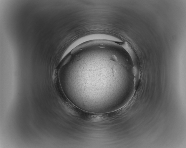 X0000116340074200912091118