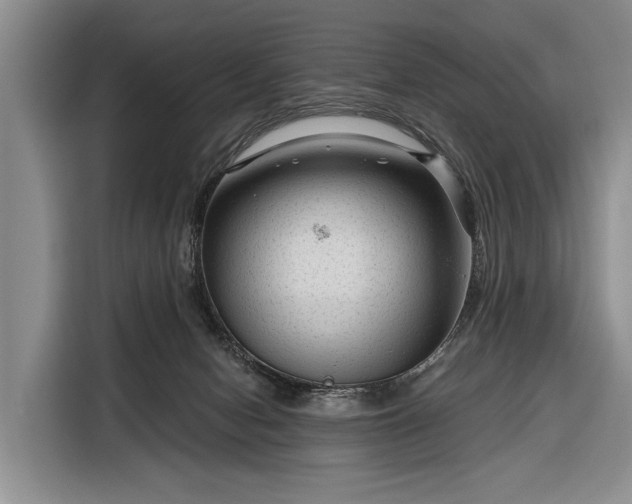 X0000116340078200912091118