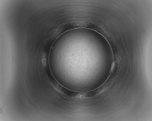 X0000116340080200912091118