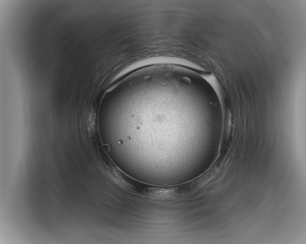 X0000116340081200912091118