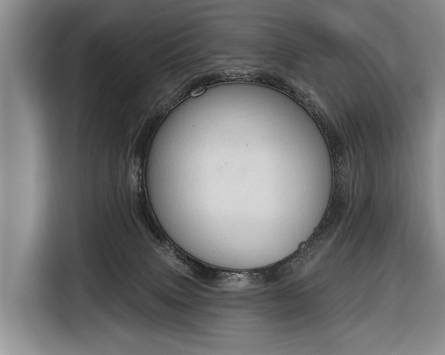 X0000116340083200912091118