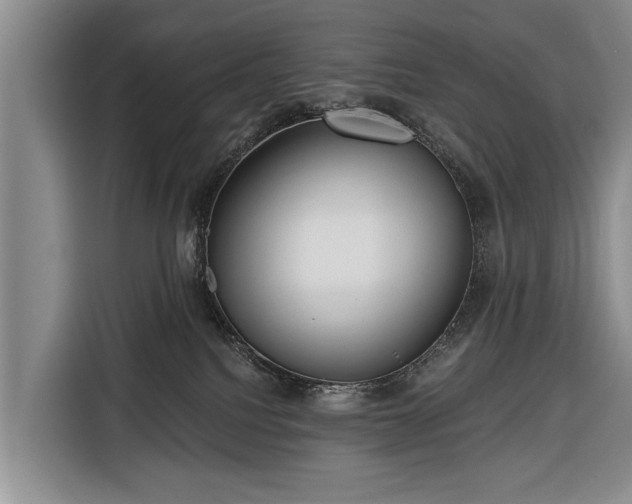 X0000116340088200912091118