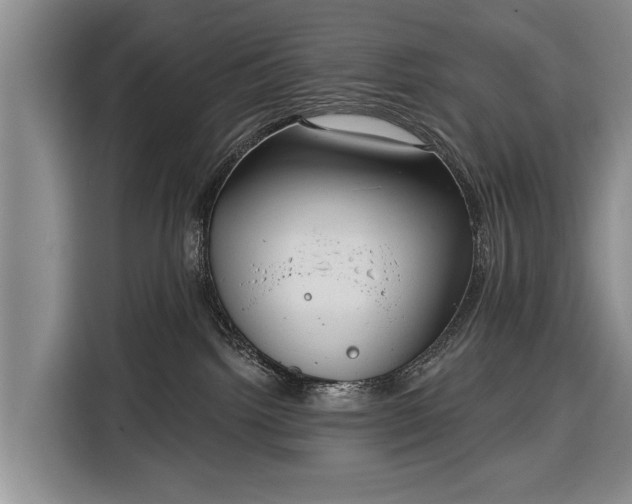 X0000116340092200912091118