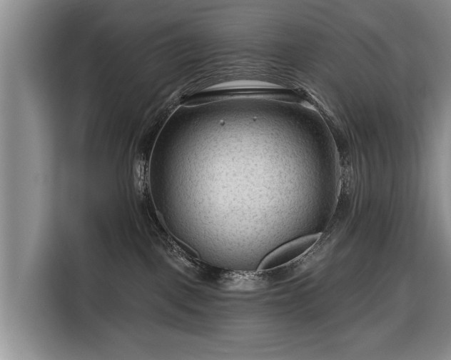 X0000116340093200912091118