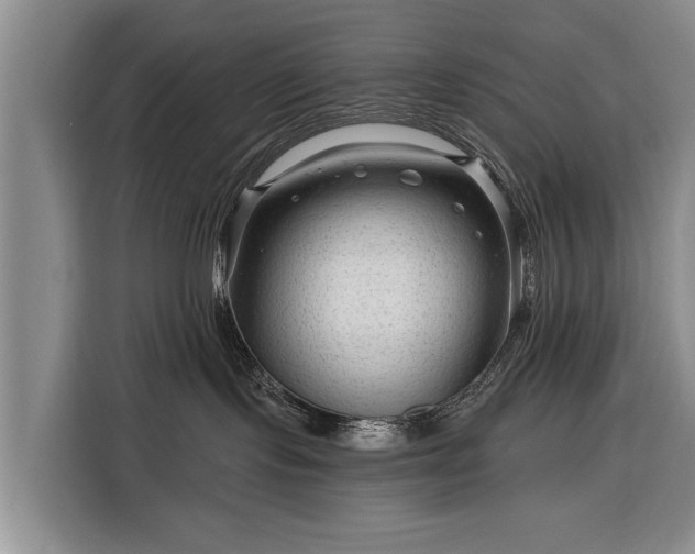 X0000116340095200912091118