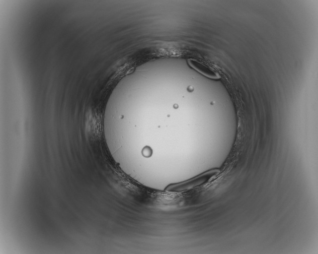 X0000116340096200912091118