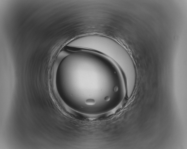 X0000116340097200912091118