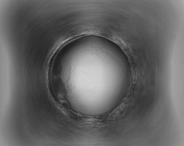 X0000116340098200912091118