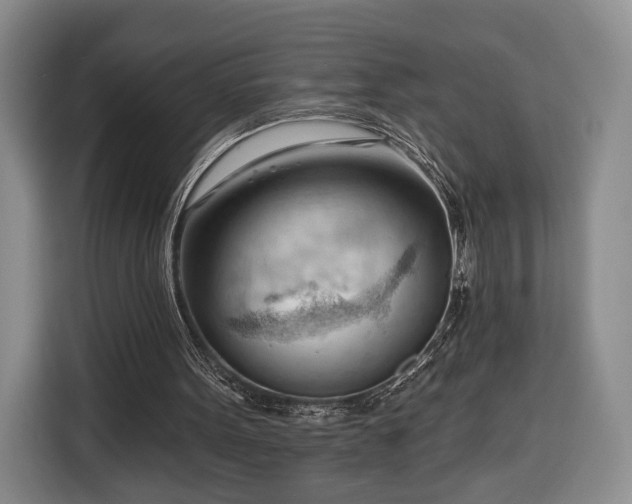 X0000116340099200912091118