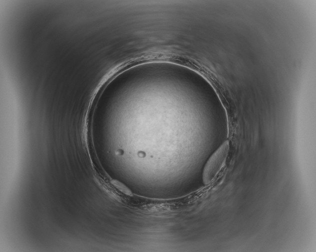 X0000116340100200912091118