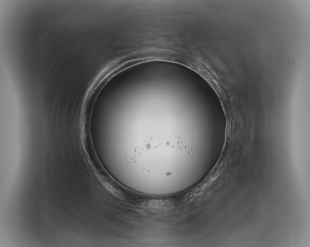 X0000116340101200912091118