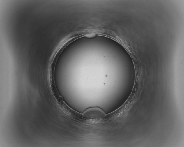 X0000116340103200912091118