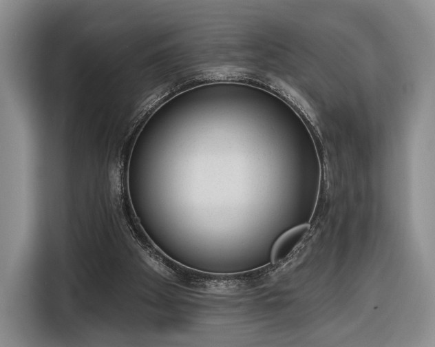 X0000116340105200912091117