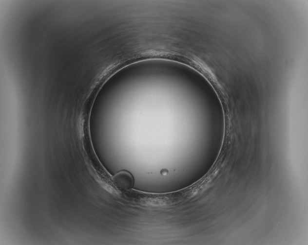 X0000116340106200912091117