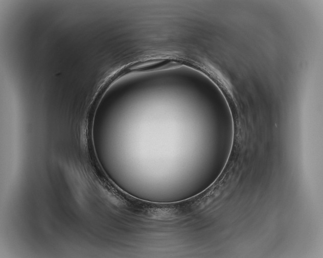 X0000116340107200912091117