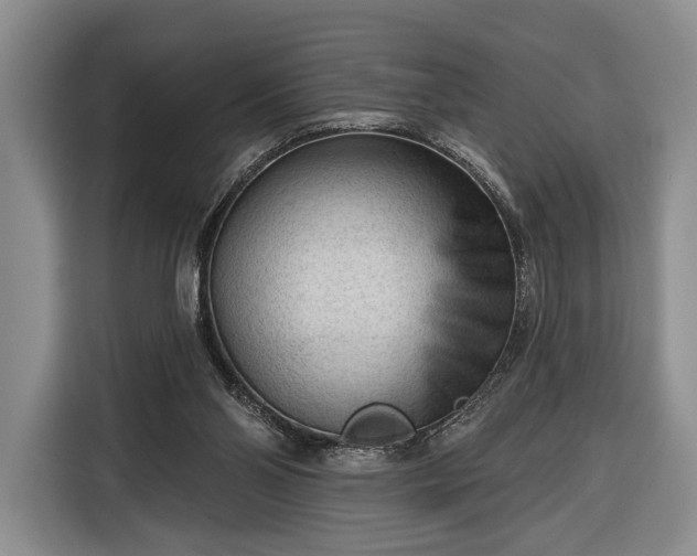 X0000116340110200912091117