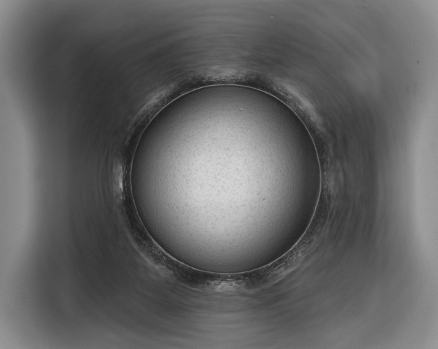 X0000116340115200912091117