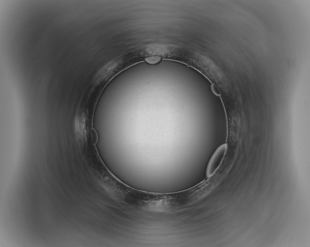 X0000116340116200912091117