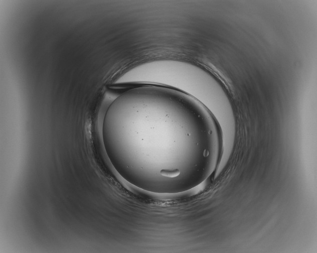 X0000116340117200912091117