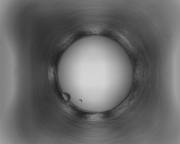 X0000116340122200912091117