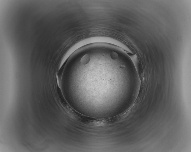 X0000116340124200912091117