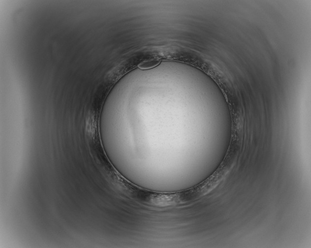 X0000116340129200912091117