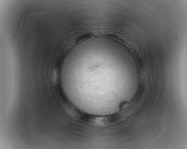 X0000116340130200912091117