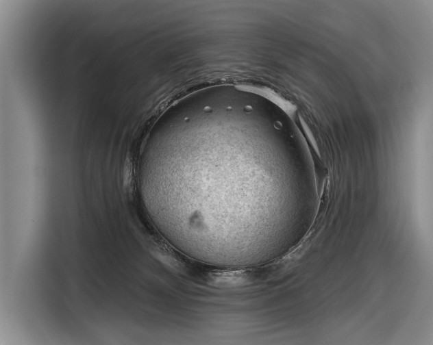 X0000116340132200912091117