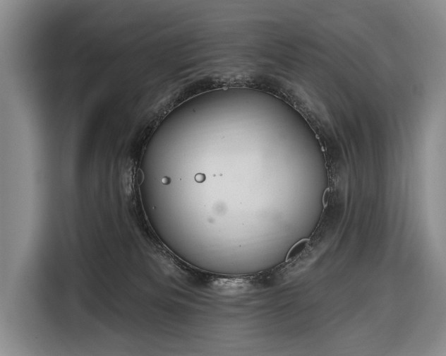 X0000116340133200912091117