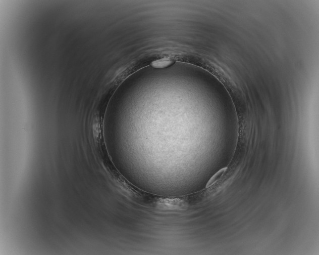 X0000116340137200912091117