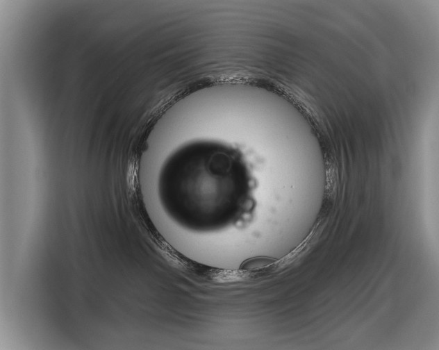 X0000116340142200912091117