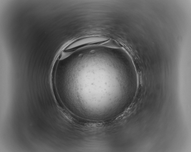 X0000116340147200912091116