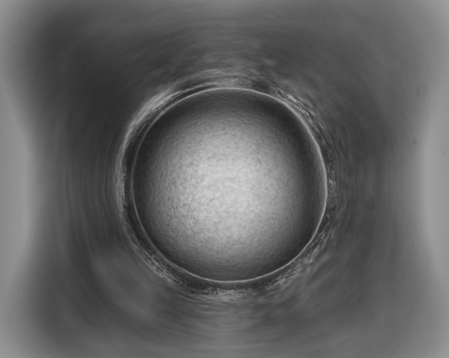 X0000116340149200912091116