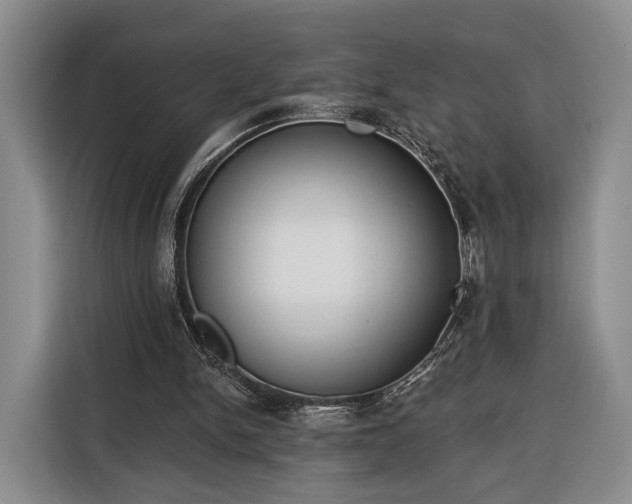 X0000116340150200912091116