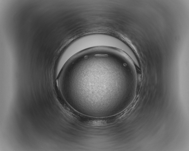 X0000116340154200912091116