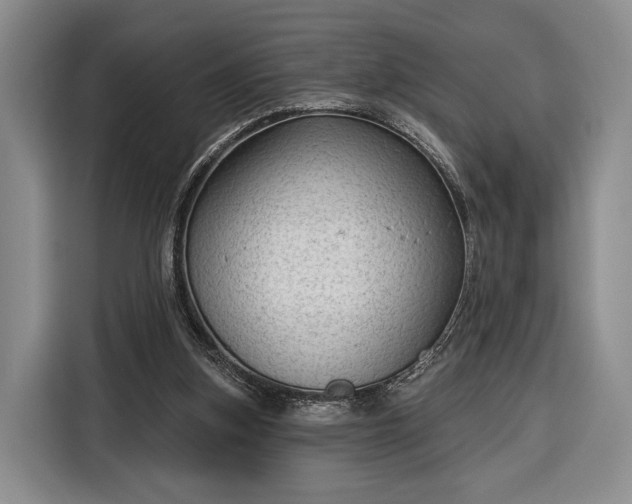 X0000116340155200912091116