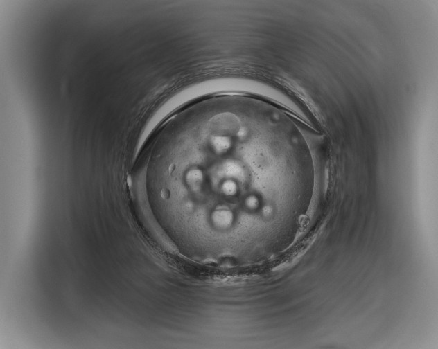 X0000116340161200912091117