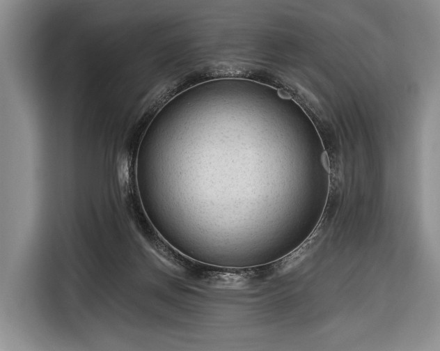 X0000116340166200912091117