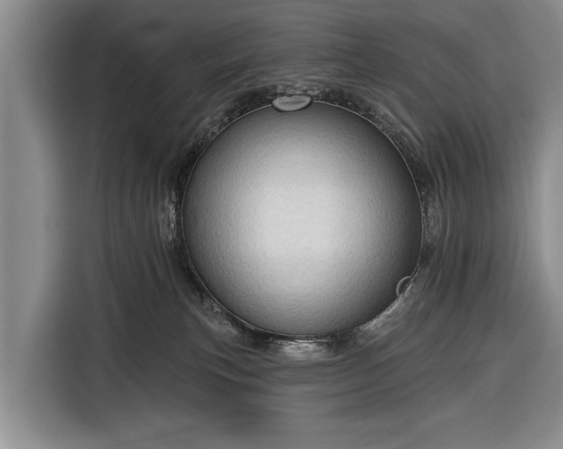 X0000116340183200912091117