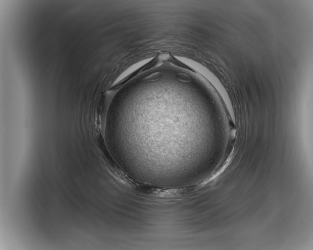 X0000116340186200912091117