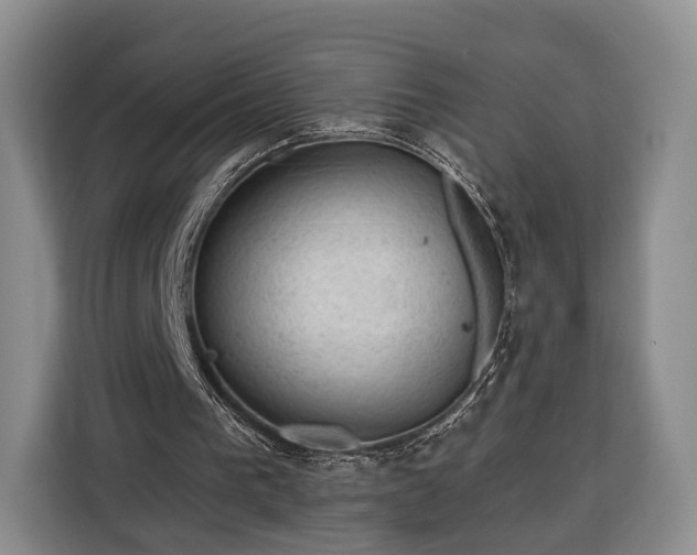 X0000116340193200912091116