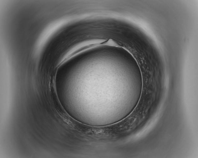 X0000116340194200912091116