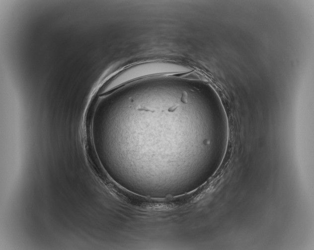 X0000116340198200912091116