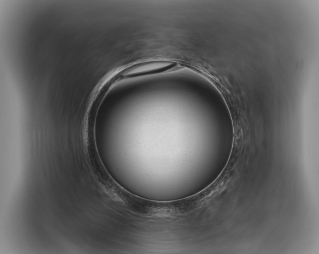 X0000116340200200912091116