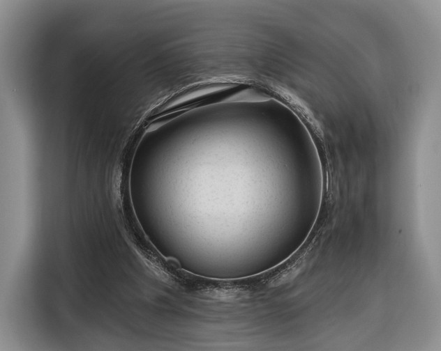 X0000116340201200912091116