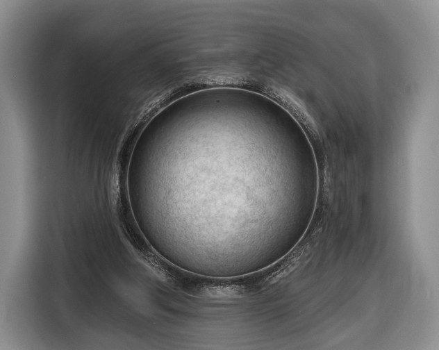 X0000116340202200912091116