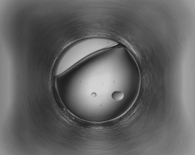 X0000116340203200912091116