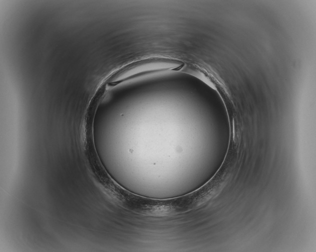 X0000116340204200912091116