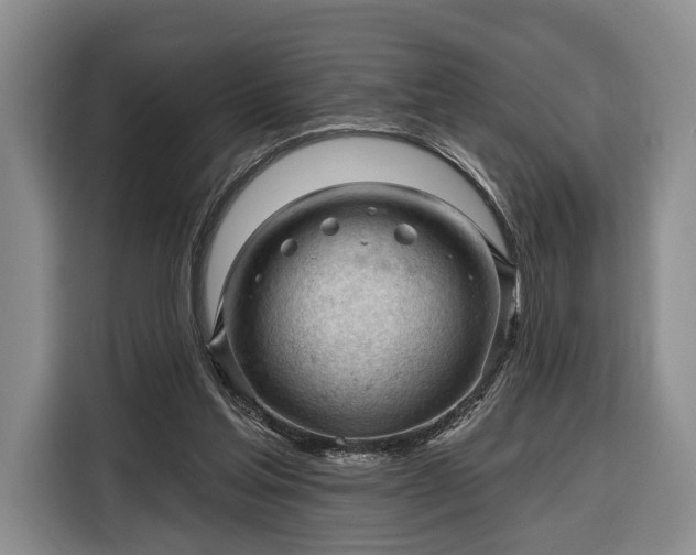 X0000116340205200912091116