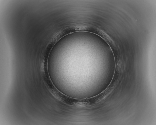 X0000116340209200912091116